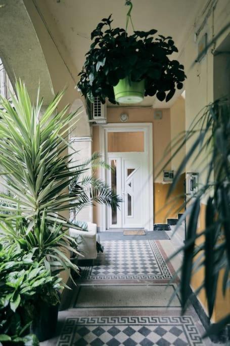 Unwind In Style W Sauna Dsgn 2Br Home Budapest Eksteriør billede
